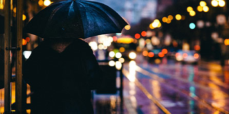 西雅图海湾者伤病名单更新，关键球员状态备受关注