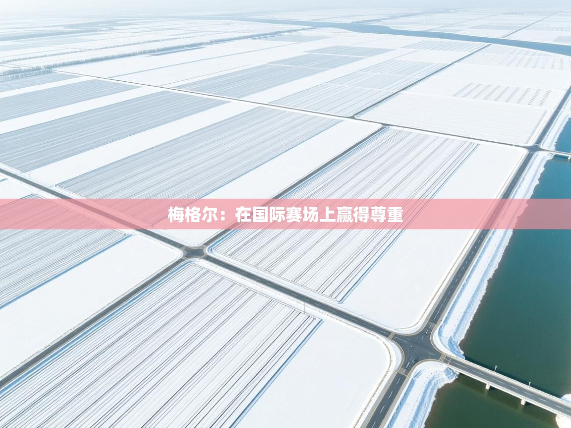 梅格尔：在国际赛场上赢得尊重