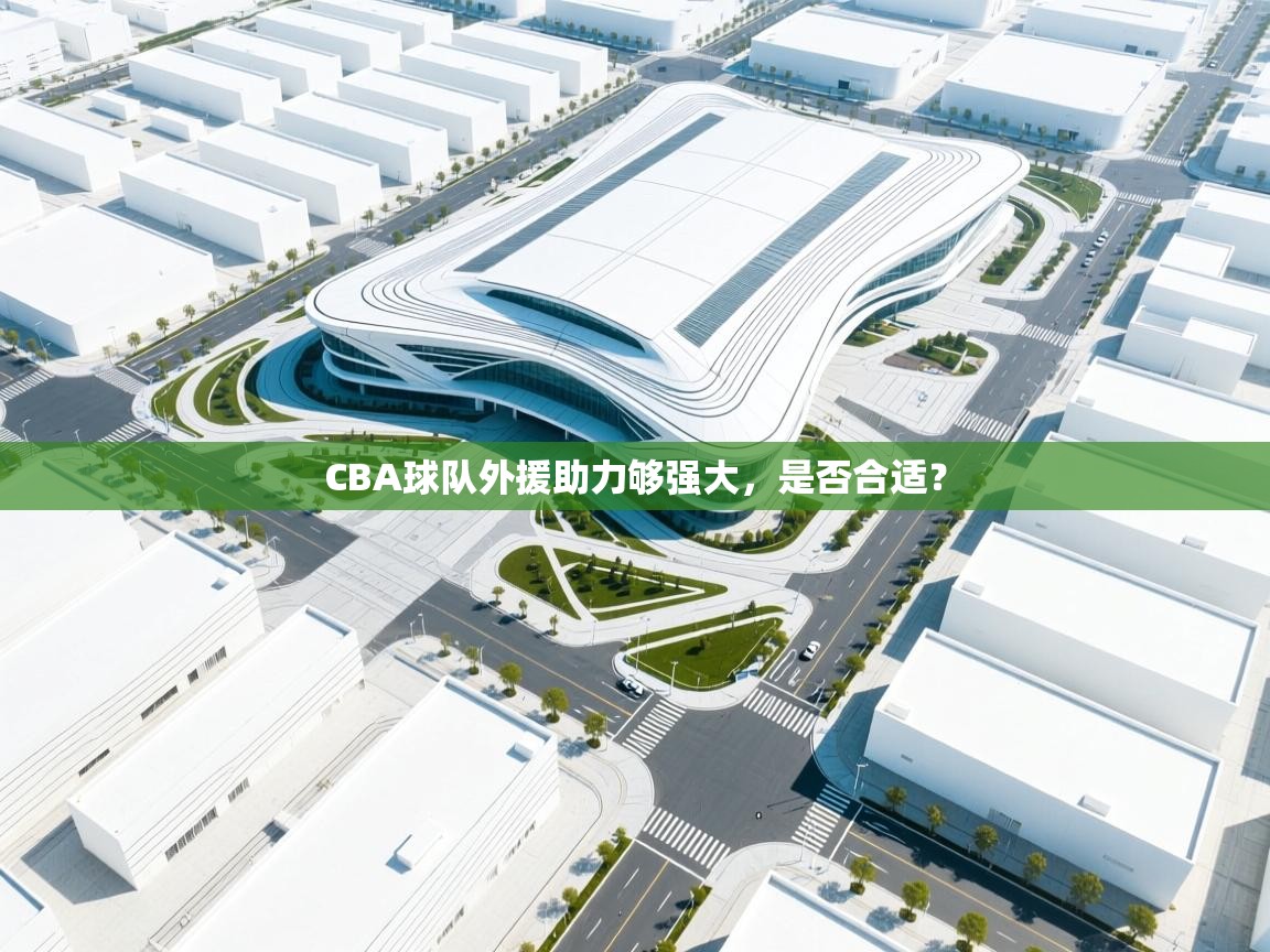 CBA球队外援助力够强大，是否合适？  第1张