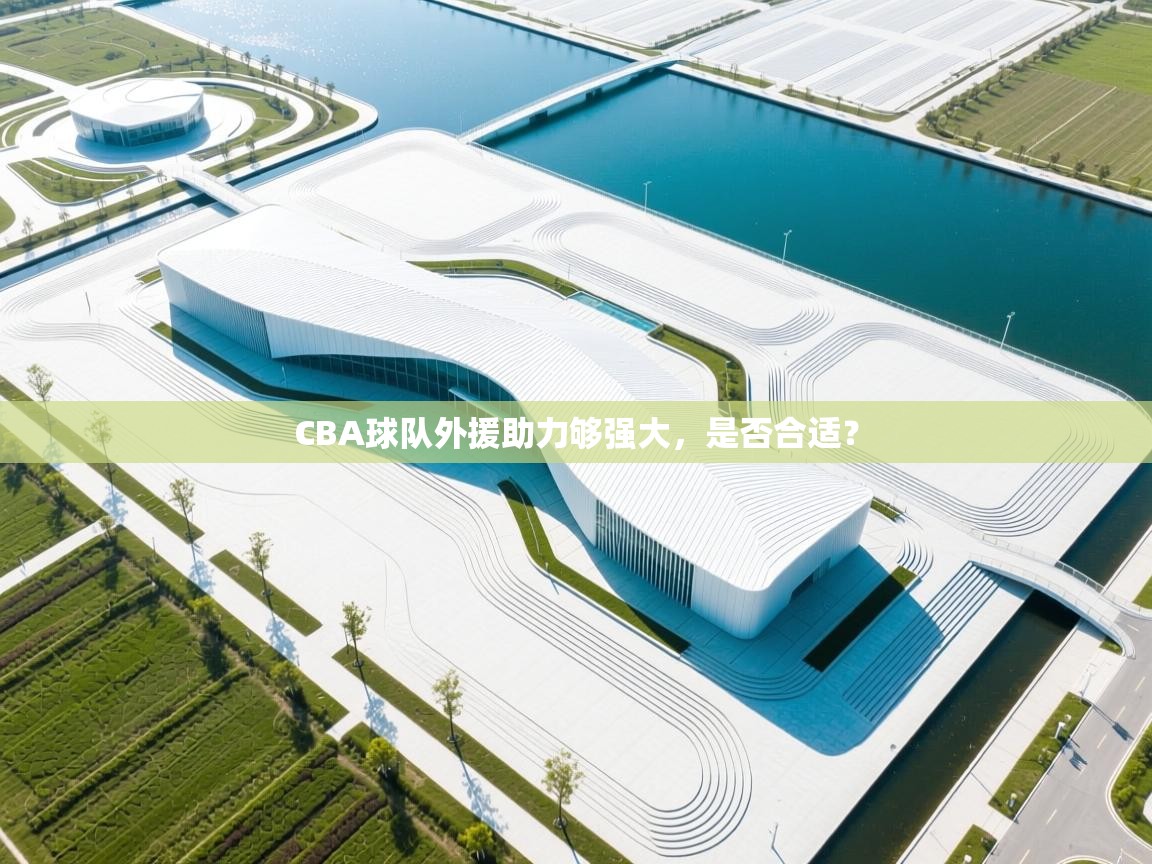 CBA球队外援助力够强大，是否合适？  第2张