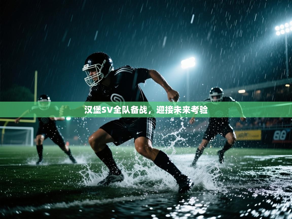 汉堡SV全队备战,迎接未来考验 第1张