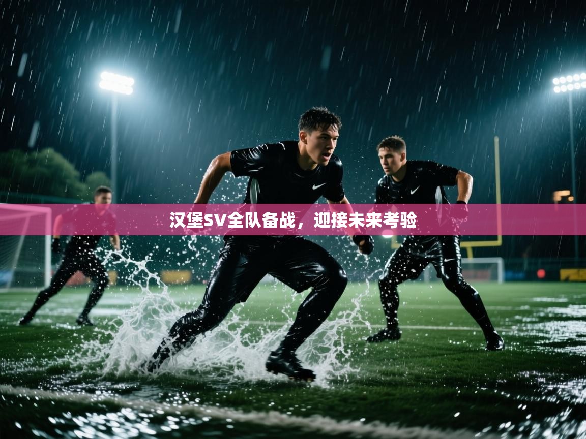 汉堡SV全队备战,迎接未来考验 第2张
